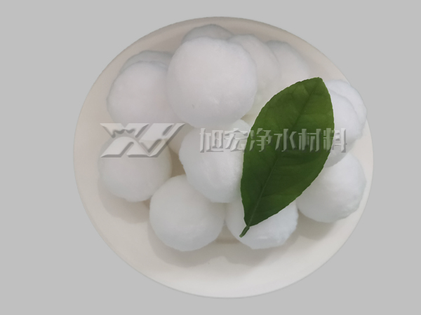 �����w�S��